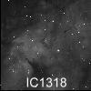 IC 1318